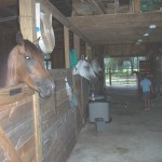 05-Orbs in a central Florida stable